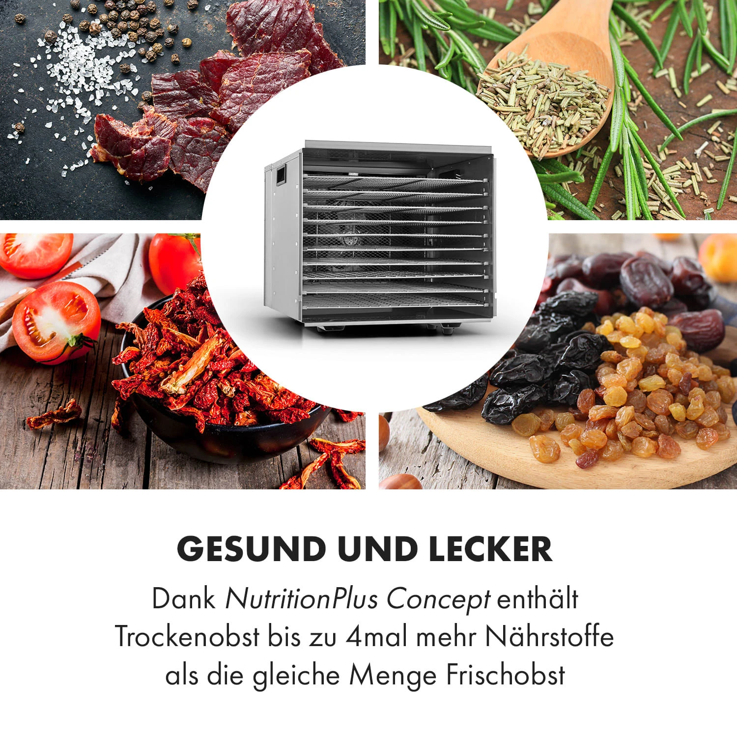 Fruit Jerky Steel 10 Dörrautomat 10 Etagen 1000 W Fläche: 1,5 M² Timer 5 Fruit Jerky Steel 10 Dörrautomat 10 Etagen 1000 W Fläche: 1,5 M² Timer – Bild 5