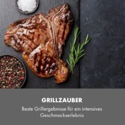 Steakreaktor Core Indoor Grillgerät Hochtemperaturgrill 2100W 800°C -Küchenbedarf Geschäft 10035085 de 0007 logo