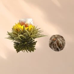 Teeblumen 6 Verschiedene Sorten Einzeln Verpackt Sehr Ergiebig 13 Teeblumen 6 Verschiedene Sorten Einzeln Verpackt Sehr Ergiebig -Küchenbedarf Geschäft 10040406 yy 0007 logo