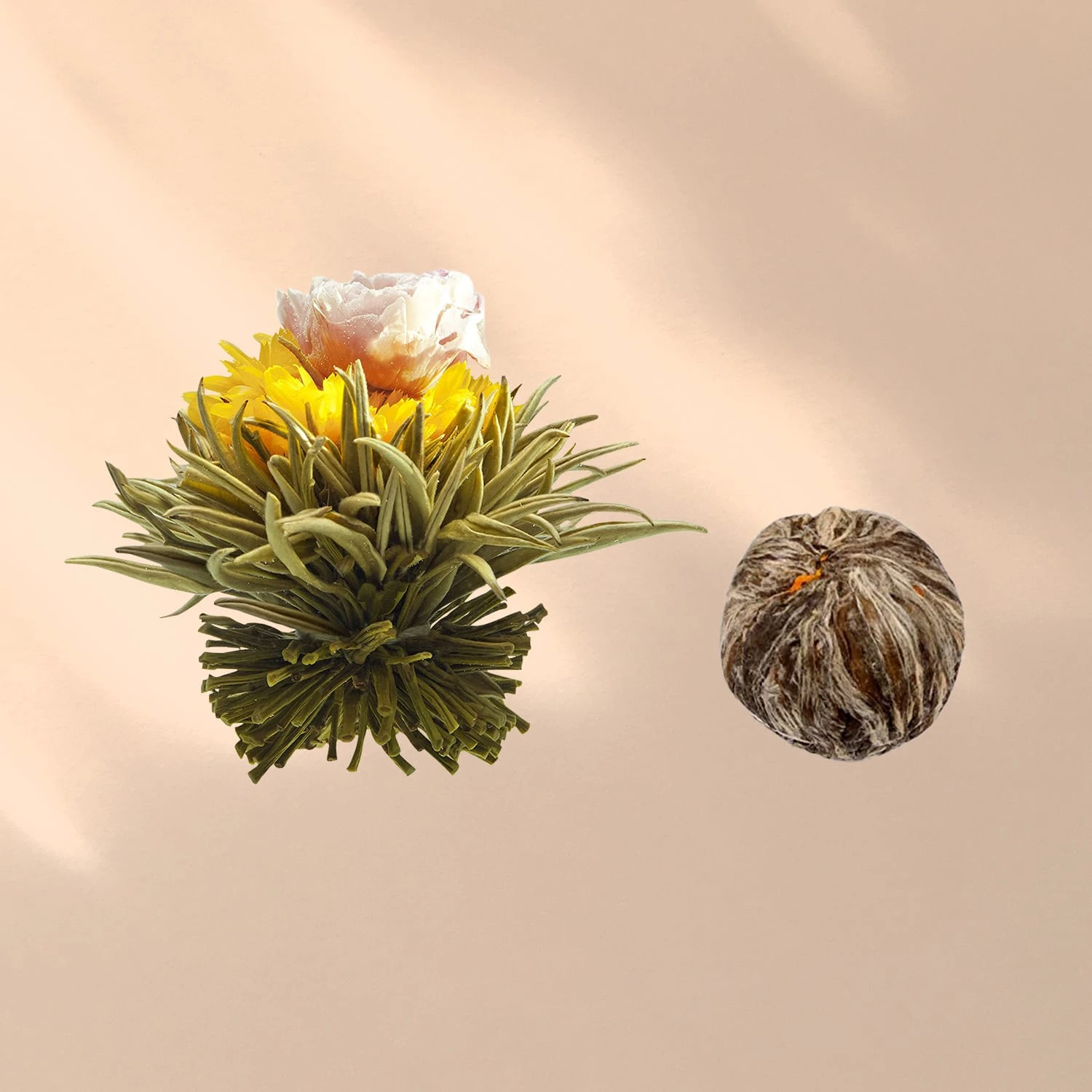 Teeblumen 6 Verschiedene Sorten Einzeln Verpackt Sehr Ergiebig 7 Teeblumen 6 Verschiedene Sorten Einzeln Verpackt Sehr Ergiebig – Bild 7