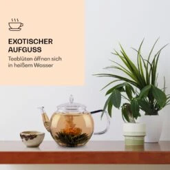 Feelino 6er Teeblume Mix Schwarz 9 Feelino 6er Teeblume Mix Schwarz -Küchenbedarf Geschäft 10040408 de 0003 logo